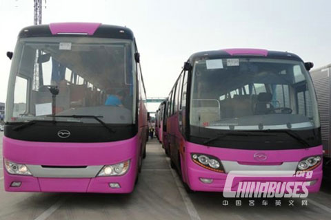 Wuzhoulong