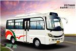 友谊ZGT6605DKG5客车（柴油国三10-19座）
