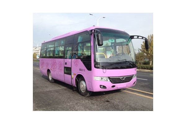 少林SLG6752C5E客车