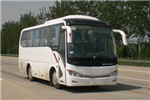 金龙XMQ6879AYN5C客车（天然气国五24-39座）