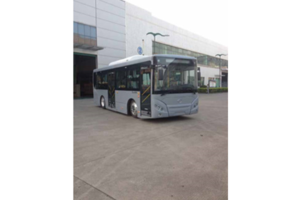 五洲龙FDG6851EVG2公交车（纯电动10-28座）