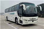 东风旅行车DFA6118LBEV客车（纯电动24-50座）