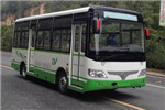 少林SLG6660EVG7公交车（纯电动10-22座）