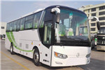 金旅XML6102JHEVD5客车（柴油/电混动国五24-59座）