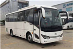 金龙XMQ6879AYD5D客车（柴油国五24-38座）