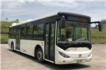 通工TG6101GBEV3公交车（纯电动23-42座）