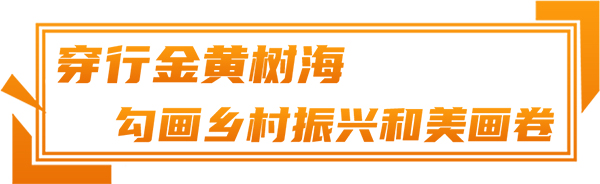 安凯客车 纯电动 E6客车 八都岕 十里古银杏长廊