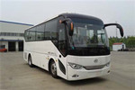 安凯HFF6819KDE5B客车（柴油国五24-34座）