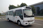 安凯HFF6701GDE5FB公交车（柴油国五10-23座）