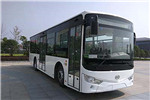 安凯HFF6100G03CHEV24插电式公交车（天然气/电混动国五18-36座）