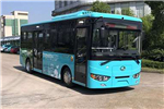 上饶BSR6820BEVGS4公交车（纯电动14-35座）